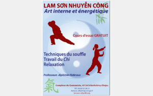 Cours de Nhuyen Công (interne)